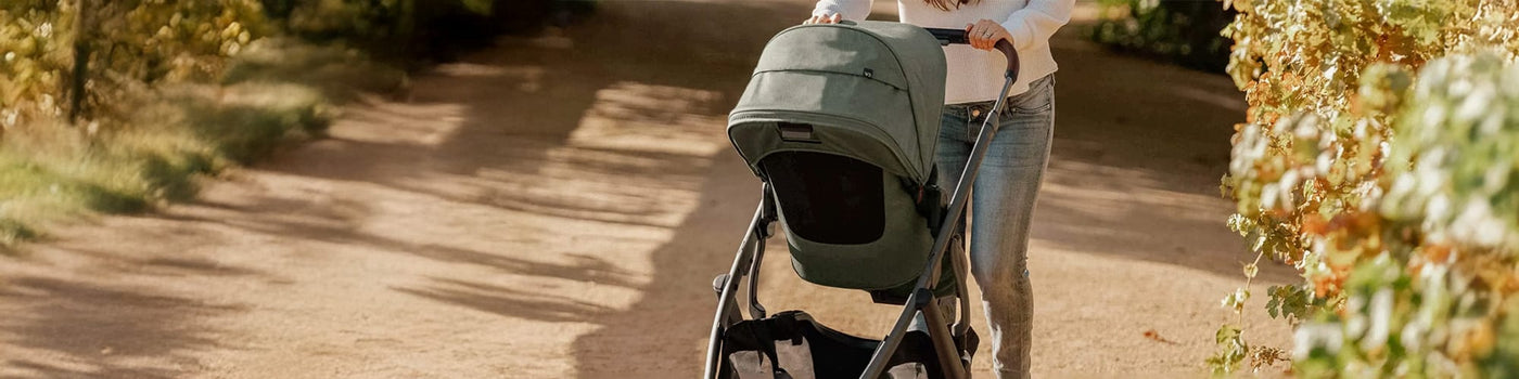 Nouveautés essentiels