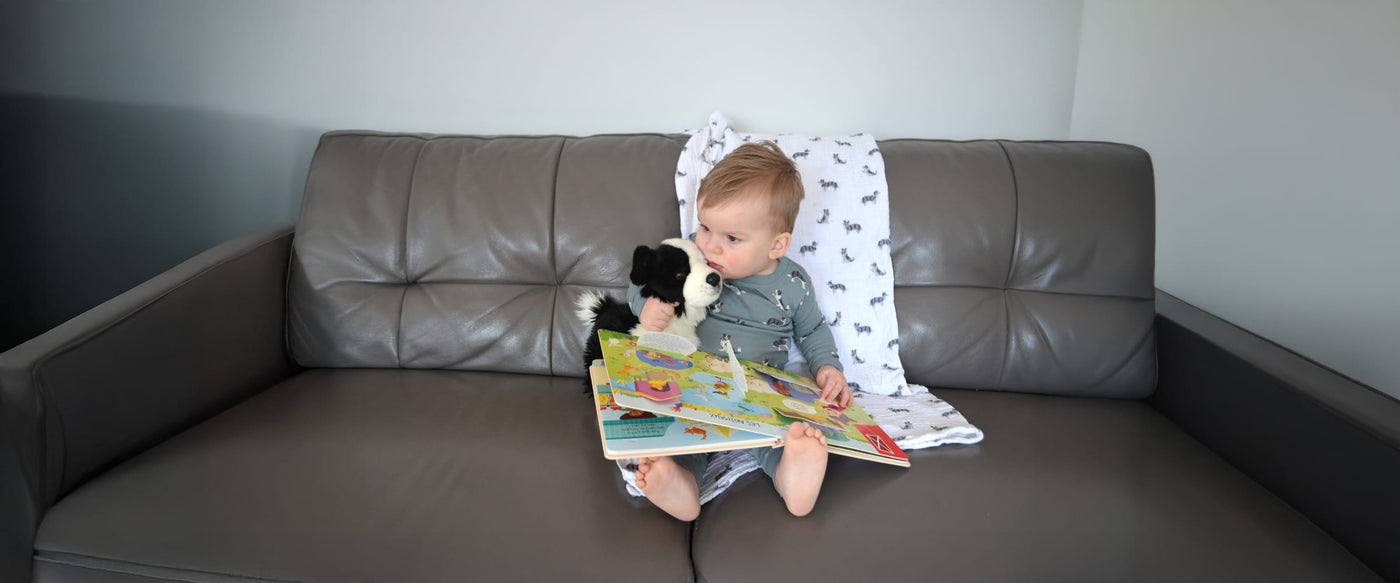 Nouveautés jouets, peluches & livres-CLÉMENT