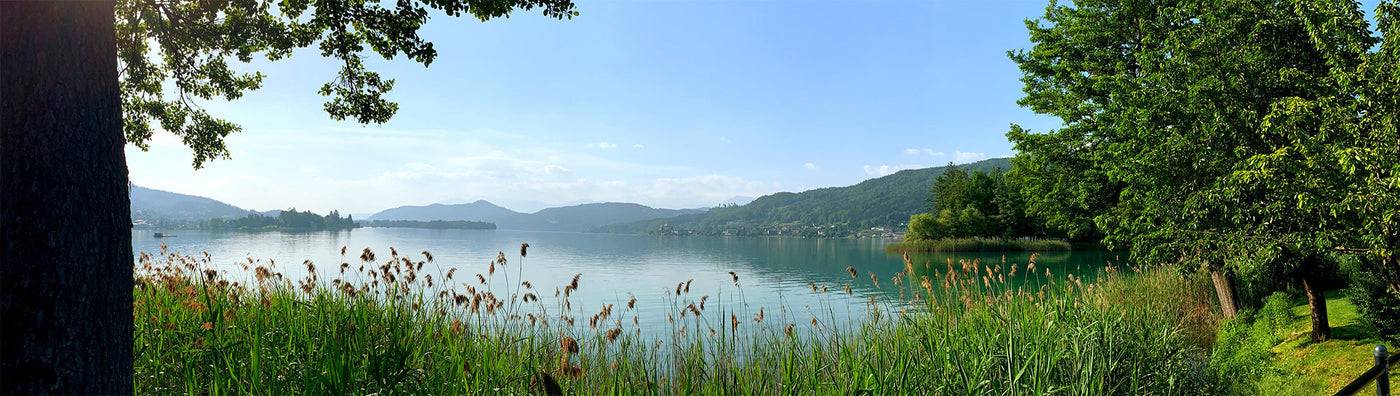 Shorts & bermudas (garçon 2-16 ans)-CLÉMENT