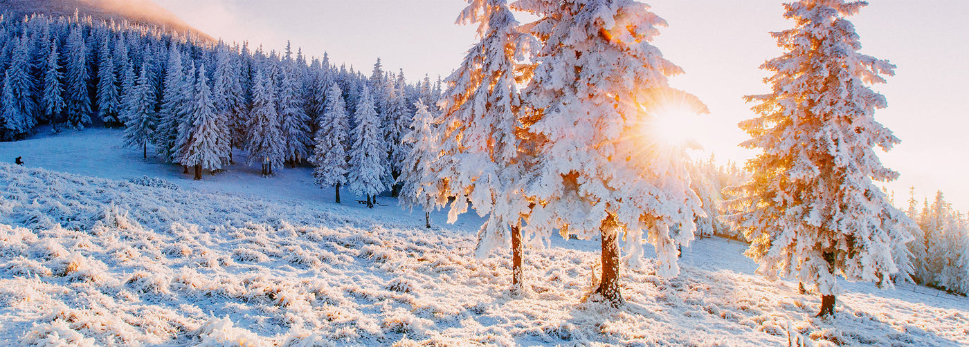 Mitaines & gants (garçon 2-16 ans)-CLÉMENT