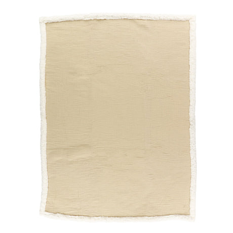 CA3-CSC-5506_B.JPG