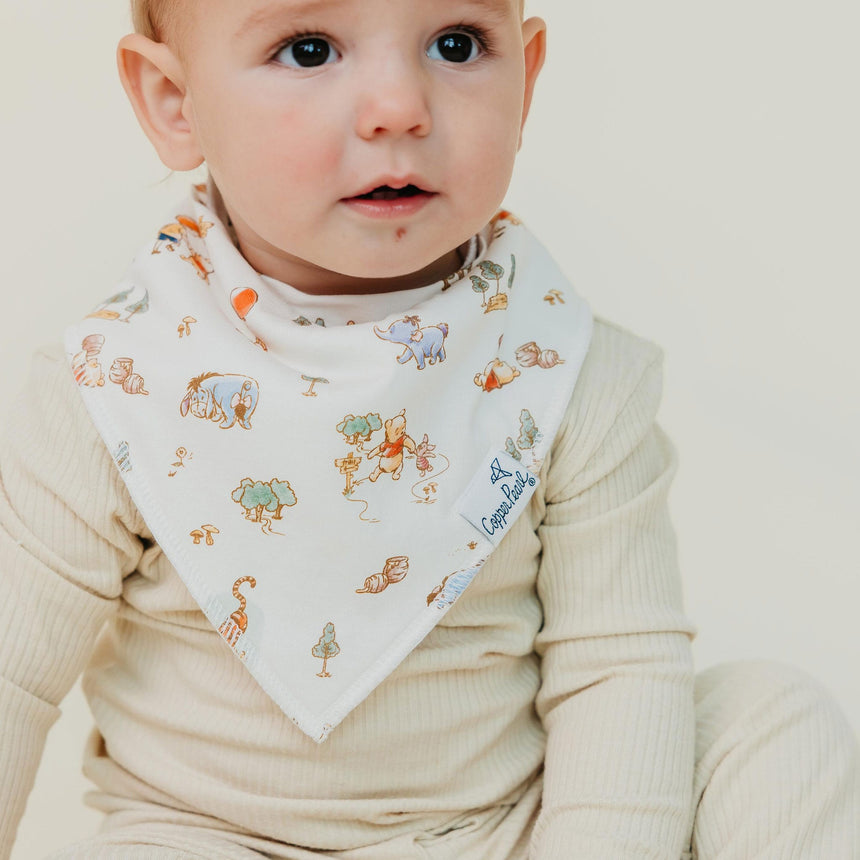 Bandana Bibs Set (6)- Classic Winnie the pooh