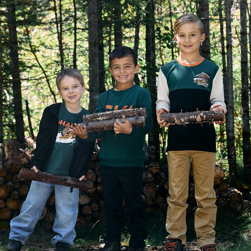 Chalet T-shirt 2-10 y