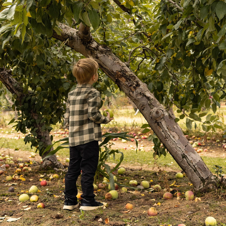 Chemise Flanelle 2-12ans