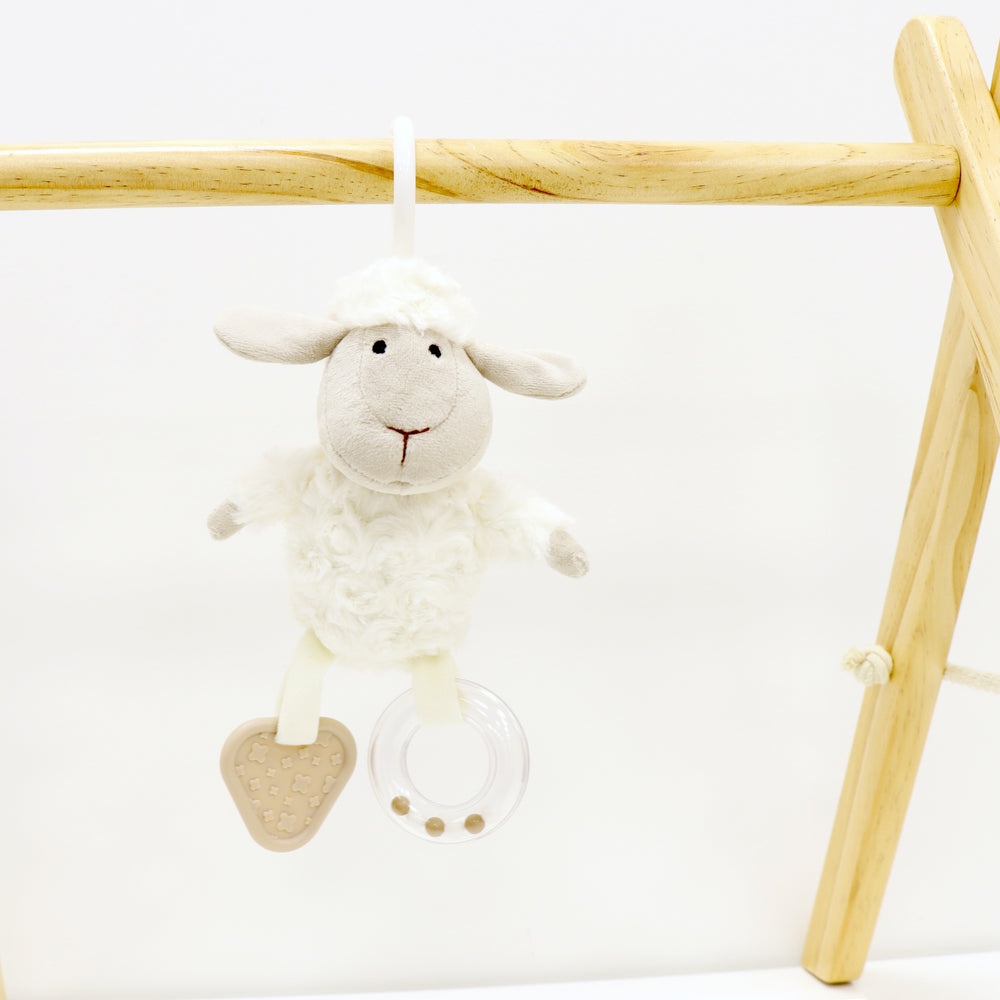 Sheep Activity