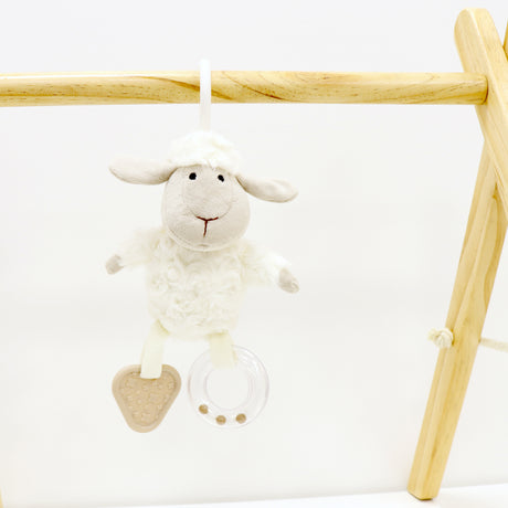 Sheep Activity