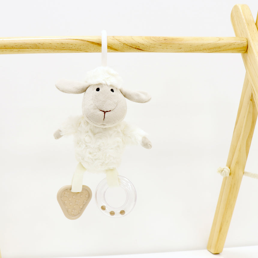 Sheep Activity