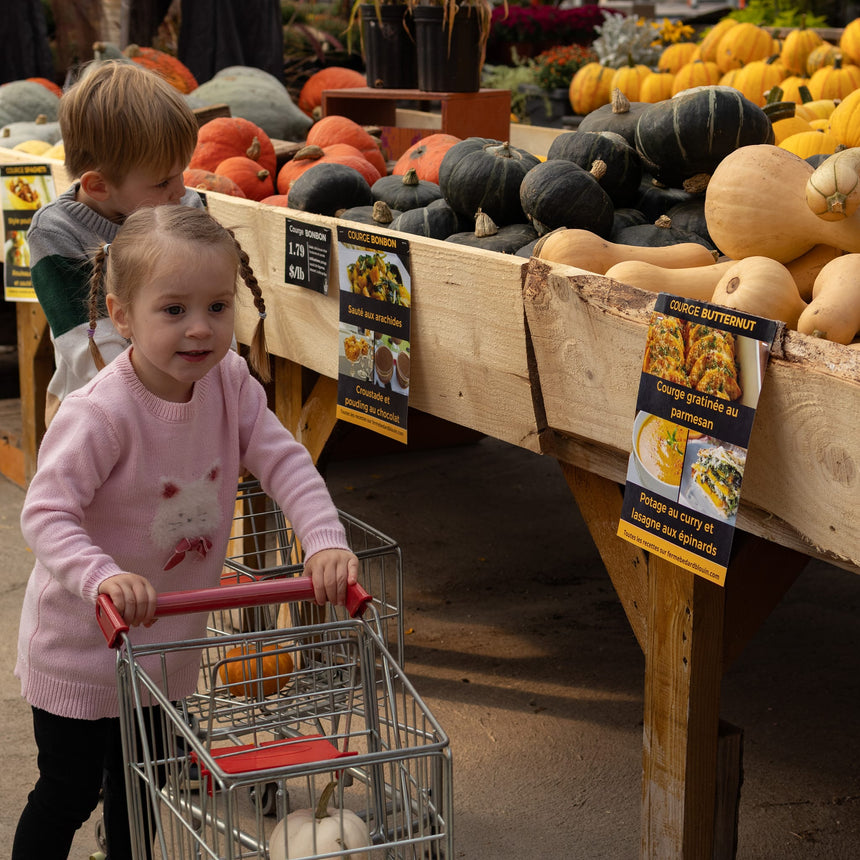 Robe Tricot Poésie Fleurs 2-8ans