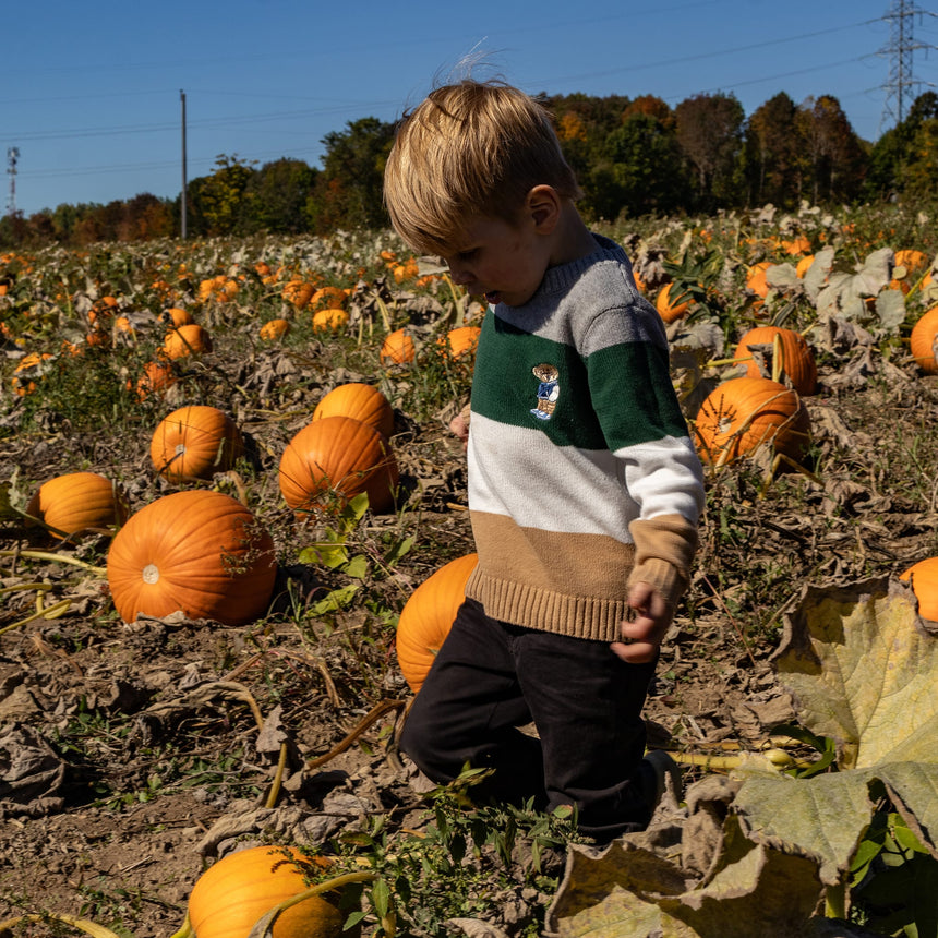 Striped Academy Sweater 2-8