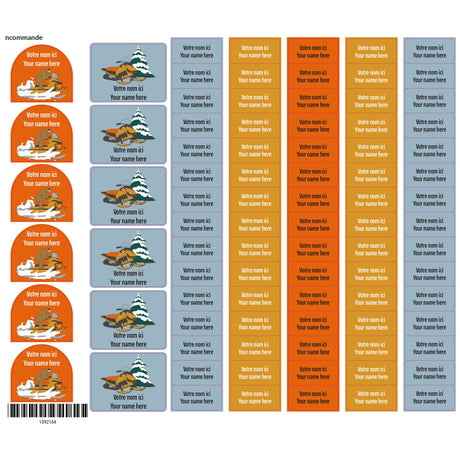School Name Labels - Skidoo