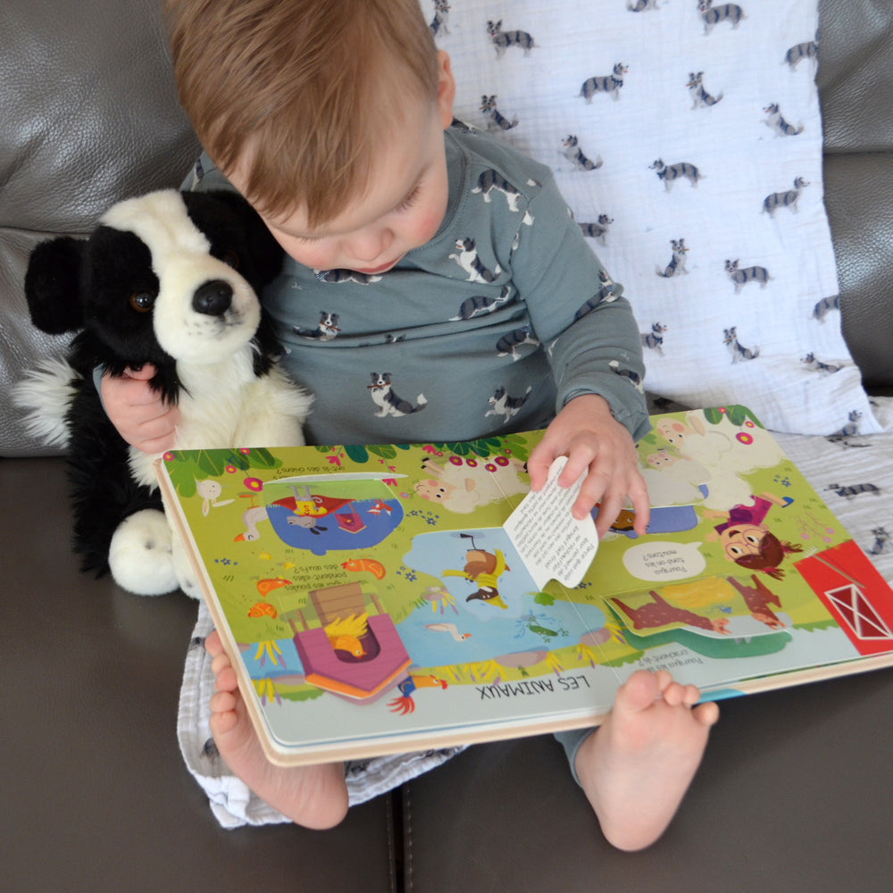 La ferme - Pourquoi ? - Questions et réponses pour les tout-petits