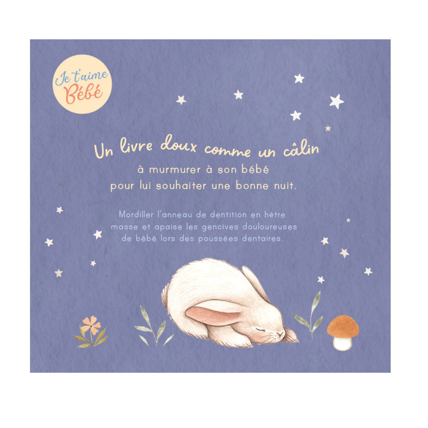 Bonne Nuit Mon Petit Bébé-Prologue-PRL-A146749-CLÉMENT
