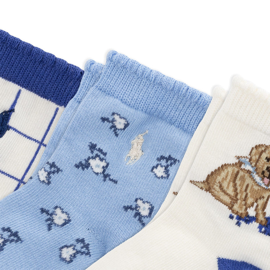 Bas Chien Bleuet (3) 6-24mois-Polo Ralph Lauren-RLB-G41417IPK-CLÉMENT