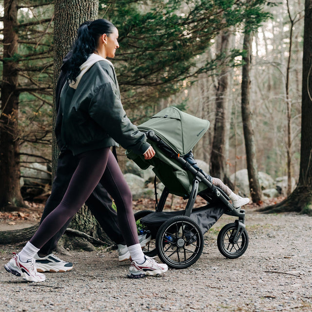 Poussette Ridge V2 - James-UPPAbaby-UPP-1403RDGNAJMS-CLÉMENT