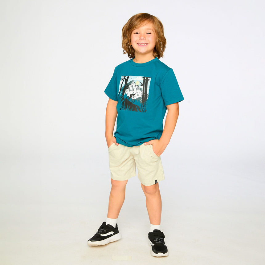 T-shirt Montagne Boys 3-6ans-Deux par Deux-2X2-H30U75-3750-CLÉMENT