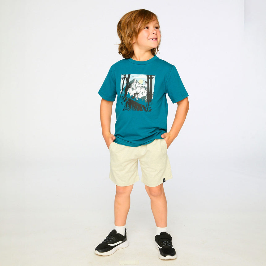 T-shirt Montagne Boys 3-6ans-Deux par Deux-2X2-H30U75-3750-CLÉMENT