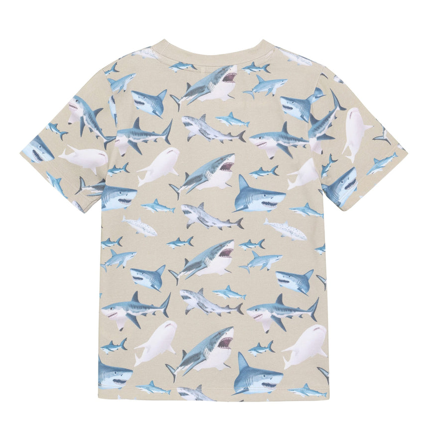 T-shirt Imprimé Requin 2-10ans-Minymo-AC1-134307-2106-CLÉMENT