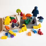 AEC-ENS-LEGO_B.JPG