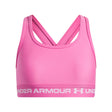 ARM-1390066-637_ROS_A.JPG