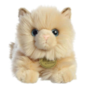 Chat Persan 8.5"-Aurora-AUO-26426-CLÉMENT