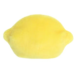 AUO-33788_C.JPG