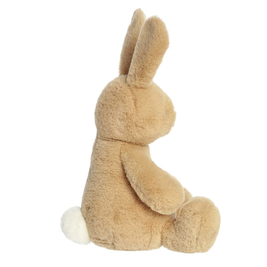 Ashley Bunny