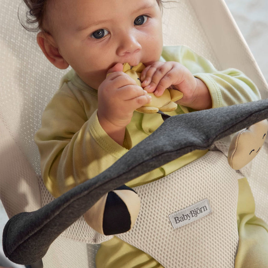 Barre Jeu Transat Soleil-Babybjorn-BAJ-080100US-CLÉMENT