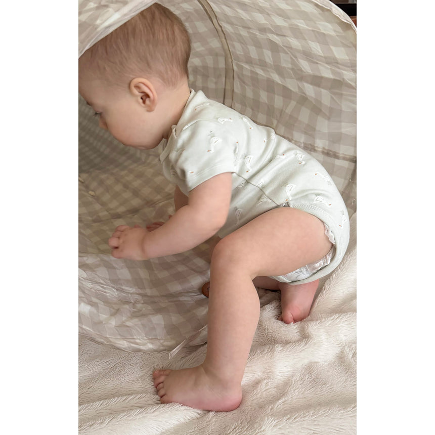 Cache-couches (3) Ferme 0-30mois-Bebe Confort-BC2-1264723C-CLÉMENT