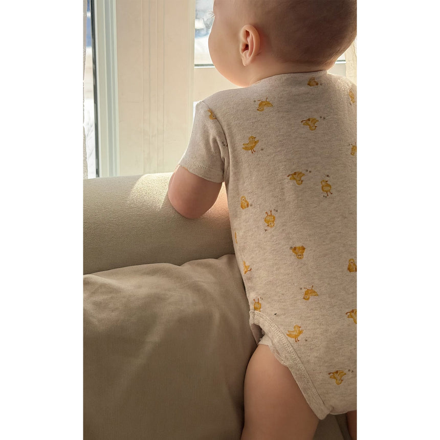 Cache-couches (3) Ferme 0-30mois-Bebe Confort-BC2-1264723C-CLÉMENT