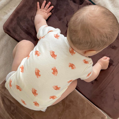 Cache-couches (3) Plage 0-30mois-Bebe Confort-BC2-1267715C-CLÉMENT