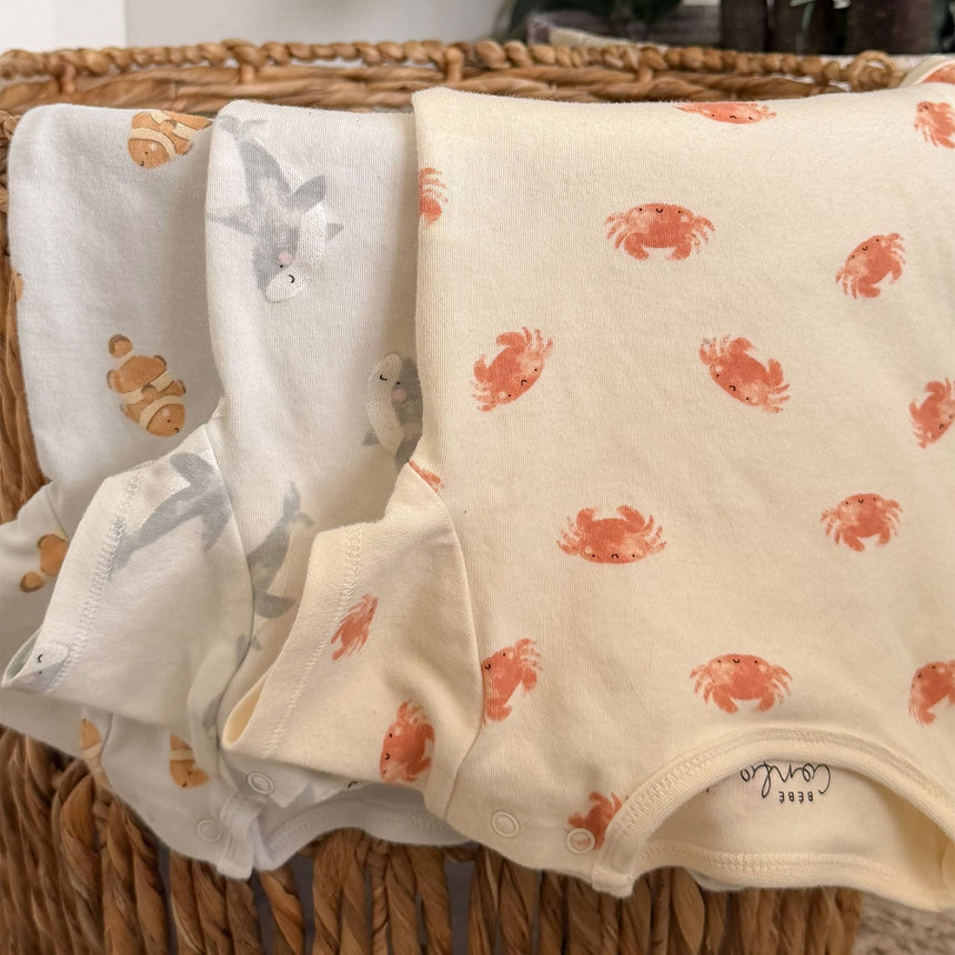 Cache-couches (3) Plage 0-30mois-Bebe Confort-BC2-1267715C-CLÉMENT