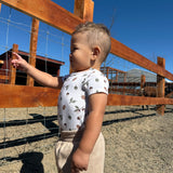 BC2-2254707C_TAU_B.JPG
