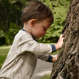 Bear Forest Pajamas 0-30m