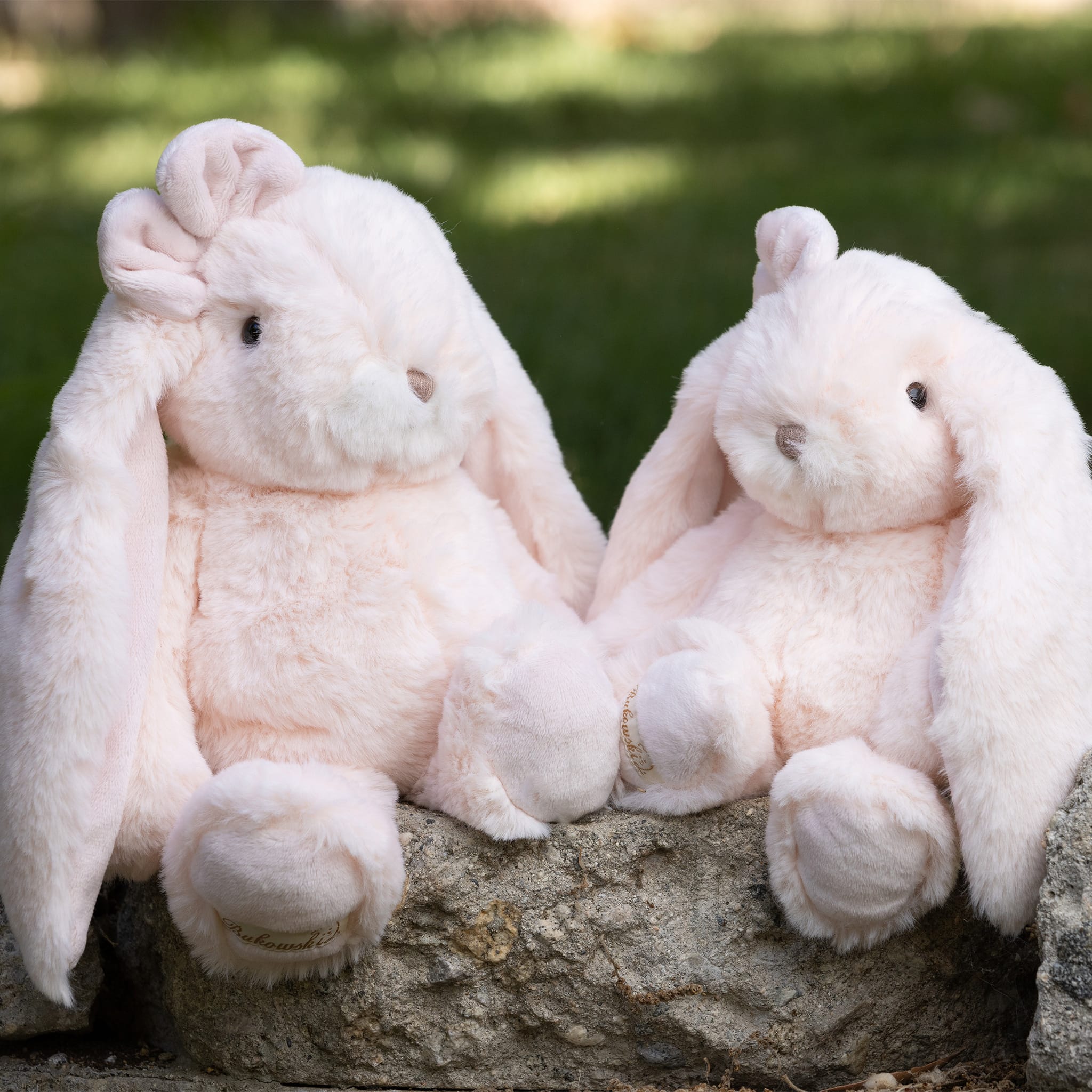 Lapin Kanina - Rose Voilée - Bukowski – CLÉMENT
