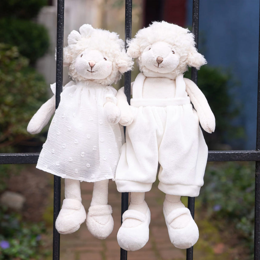 Mouton Molly-Bukowski-BKI-23098A-CLÉMENT