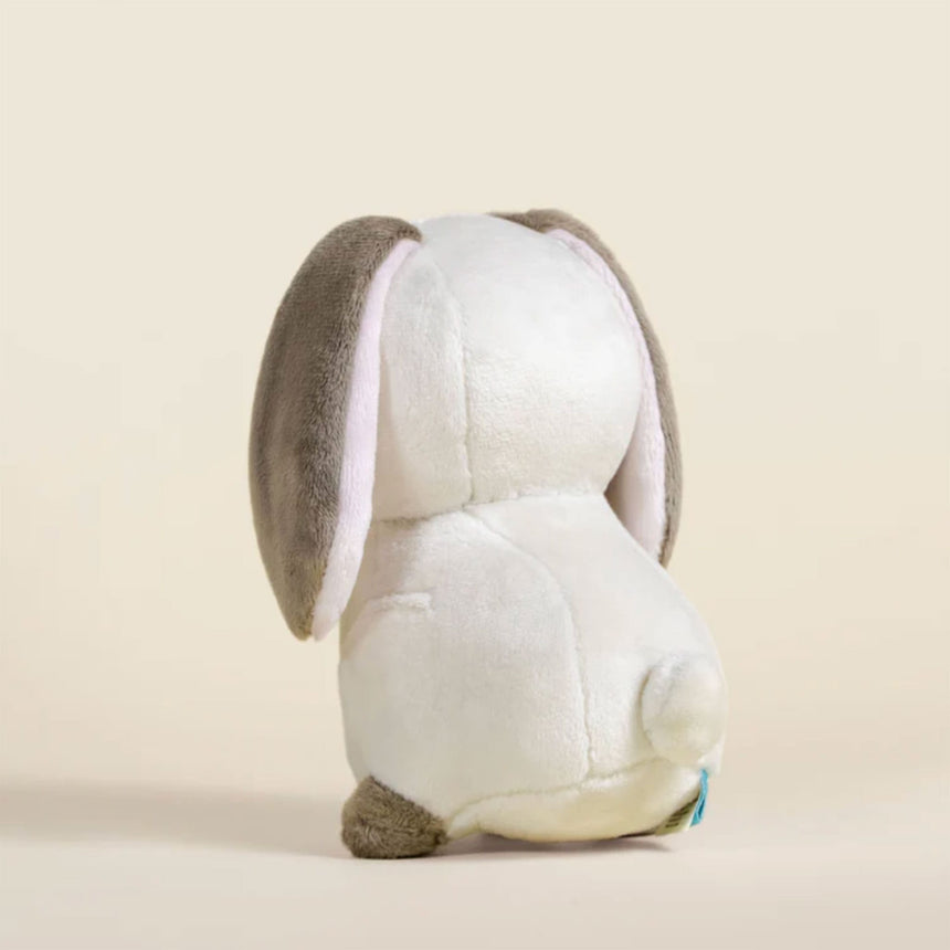 BLZ-BUNNI-S-LOPW_E.JPG