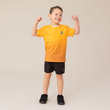 T-shirt Jaune Sommet 4-12ans-Nano-BOS-F26A81-10-CLÉMENT