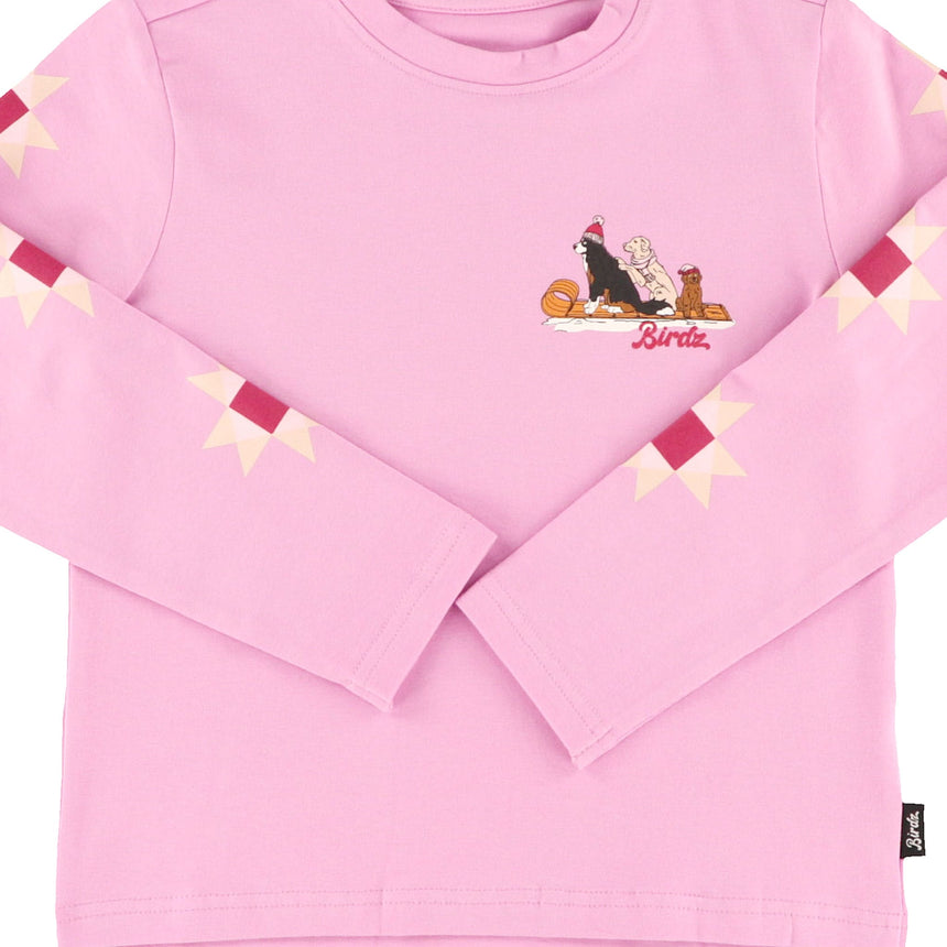 T-shirt Chien Traîneau 2-10ans-Birdz-BR2-44005-F26-L-CLÉMENT