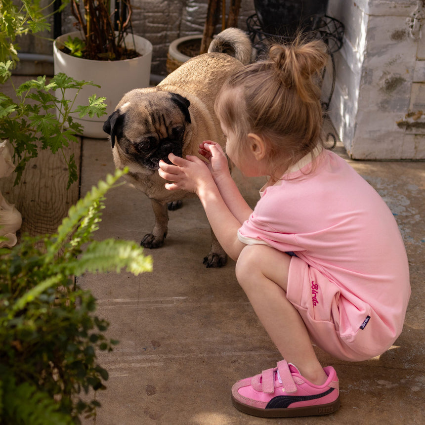 T-shirt Chien Surf 2-10ans-Birdz-BR2-44007-SP26-R-CLÉMENT