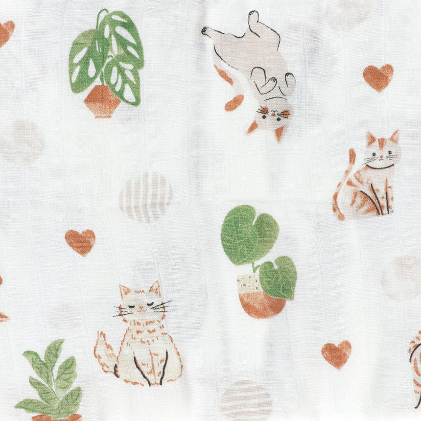 CA3-BLANKET-CAT_B.JPG