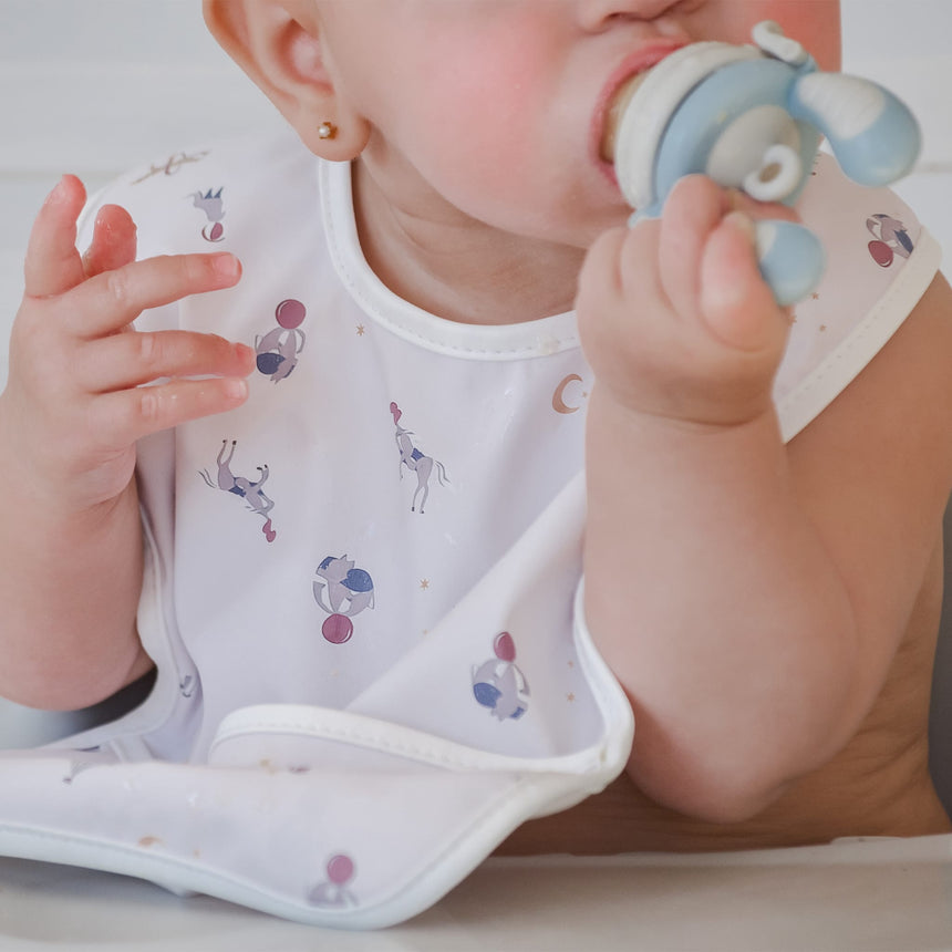 Bib Loops/ Circus (2)