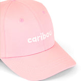 CAB-BASROSEPE25_ROS_B.JPG