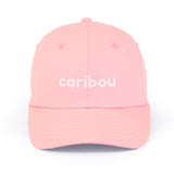 CAB-BASROSEPE25_ROS_D.JPG