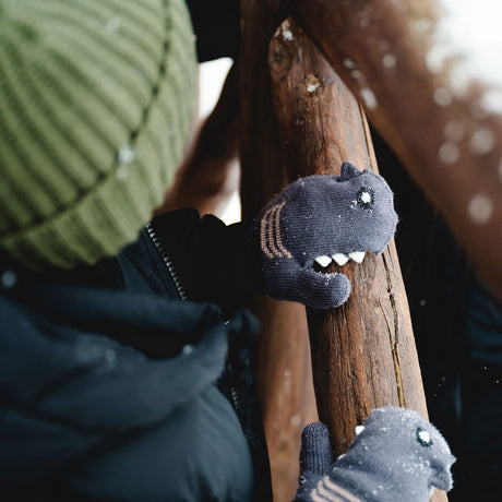 CAL-W2496-SHARK_CHA_B.JPG