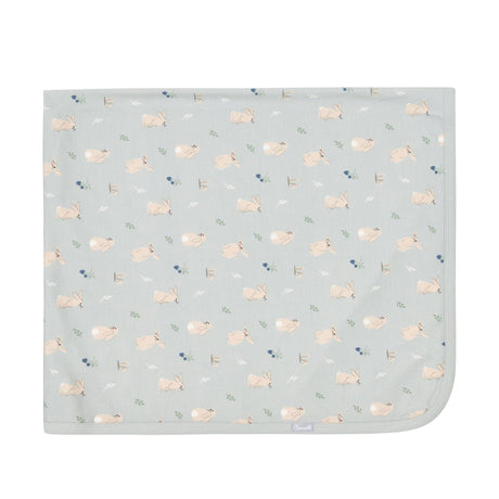 Couverture - Lapins-Coccoli-CC3-RM6001-CLÉMENT