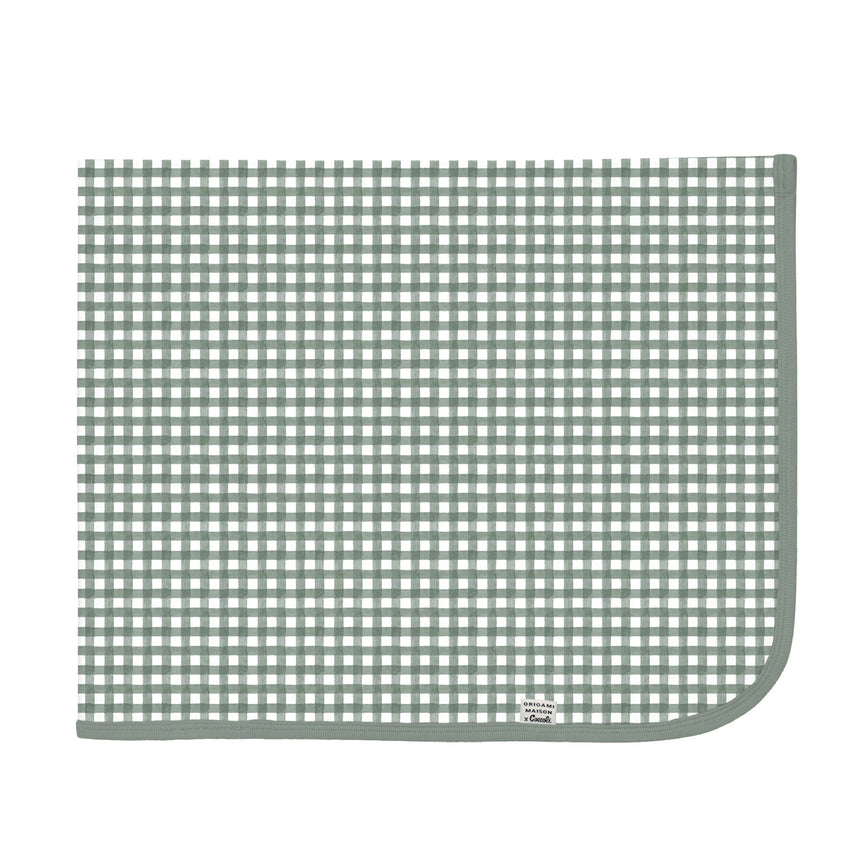 Couverture - Vichy Sauge-Coccoli-CC3-RM6029-CLÉMENT