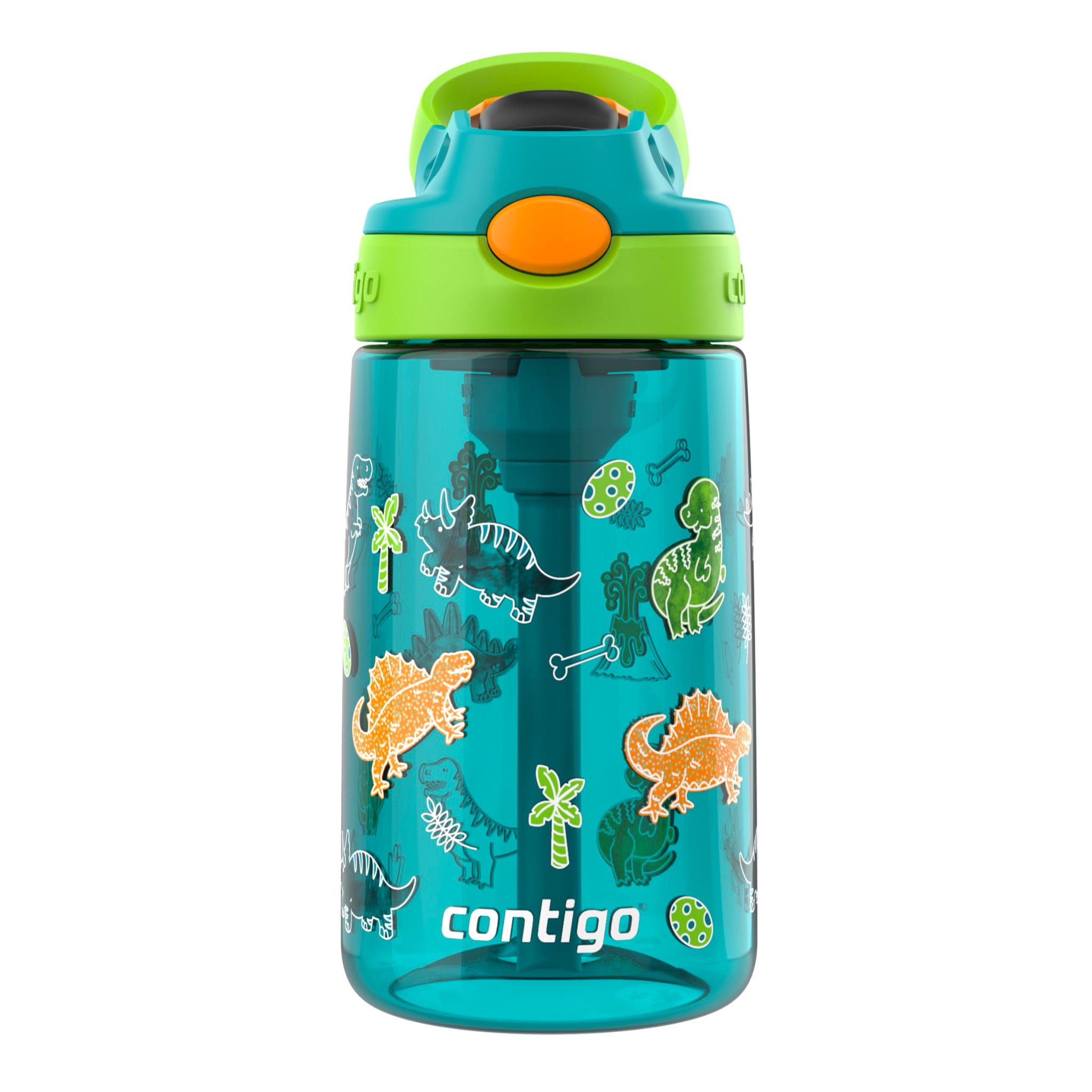 Aubrey Leak-Proof Spill-Proof Water Bottle - Juniper Dino 14oz