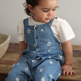 Picnic Chambray Overalls 3-24m