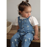 Picnic Chambray Overalls 3-24m