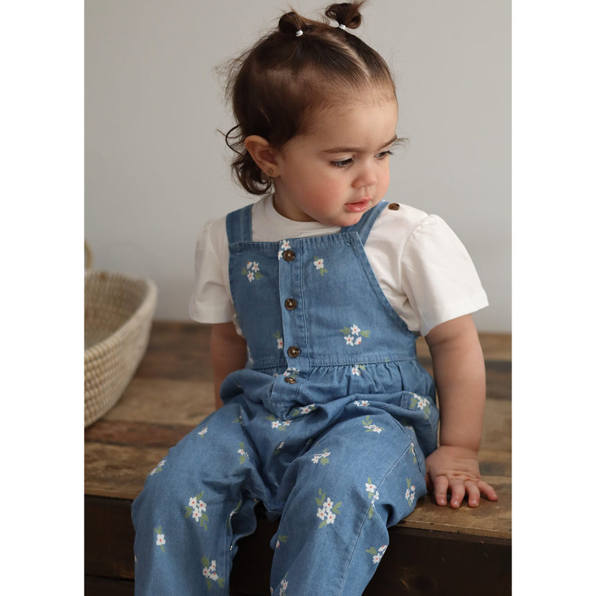 Picnic Chambray Overalls 3-24m